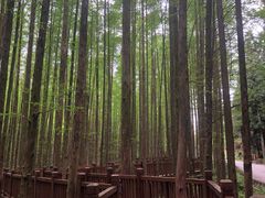 -山王坪喀斯特国家生态公园