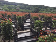 -无锡市乌鹤山公墓办事处