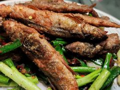 多春鱼-金龙·打边炉(南京西路店)