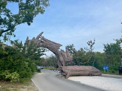 -广富林郊野公园