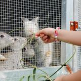 夏天的农场，热烈又艳丽