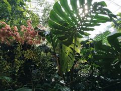 -陆地游轮吉林神农温泉