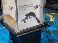 -盒马鲜生(文景博乐里购物广场店)