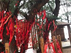 -北海金海湾红树林生态旅游区