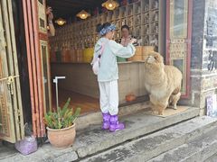 -正宗李家土鸡米线店