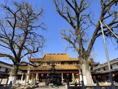 -溪口-滕头旅游景区