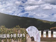 -腾冲北海湿地