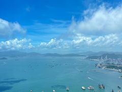 -天龙轩(香港丽思卡尔顿酒店)