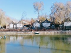 -尚庄度假村·庭台树下·户外烧烤·团建CS·轰趴营地(上庄水库店)