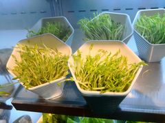 -芭菲盛宴·环球美食(北城国际店)