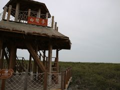 -北海金海湾红树林生态旅游区