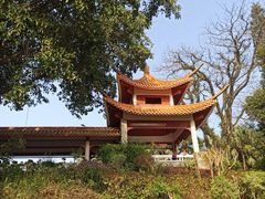 -深圳仙湖植物园