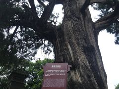 -黄帝陵