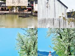 -晓琦农家菜馆·地道农家菜