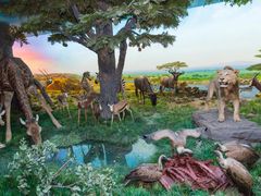 -国家自然博物馆