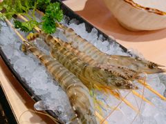 鲜活大虾-龙门养心粥火锅(祥恒广场店)