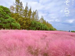 -嘉北郊野公园
