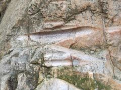 -羚羊峡古栈道森林公园