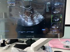 -嘉馨宠物医院·CT影像转诊·心脏科·犬猫全科诊疗中心(下沙大学城院区)