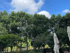 -博雅酒店-中餐厅