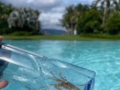 -三亚太阳湾柏悦酒店