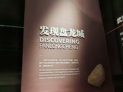 -盘龙城国家考古遗址公园