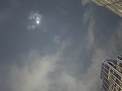 -海港城