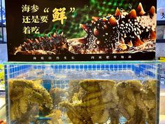 -川骄海鲜自助(河东店)