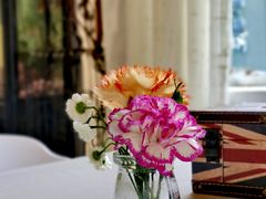 -蓝山四季西餐植物店