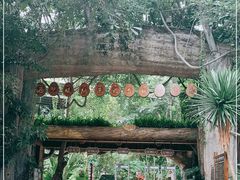 -西双版纳原始森林公园