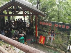 -藏龙百瀑风景区