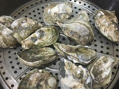 -蚝专家(北滘店)