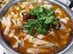 肥肠鱼-龙梅肥肠鱼(明瓦廊店)