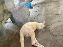 -宁波野生动物园