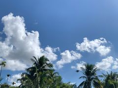 -海南热带雨林国家公园吊罗山景区