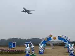 -空港花田景区