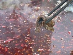 -储奇门鳝鱼火锅(总店)