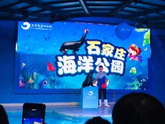 -石家庄海洋公园