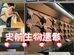 -大庆市博物馆
