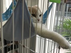 -白衬衫照相馆(五彩店)