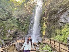 -莫里热带雨林景区