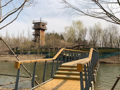 -东郊湿地公园