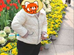 -南山植物园