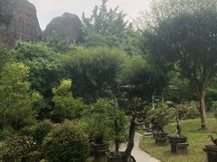 -珠海圆明新园