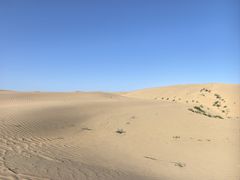 -恩格贝生态旅游区