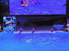 -海合安武汉极地海洋公园