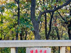 -童牛岭风景区