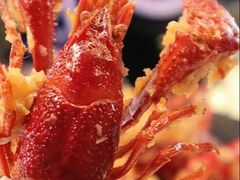 -红盔甲·小龙虾(天钥桥店)