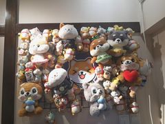 -逗柴咖啡屋·狗咖猫咖宠物桌游