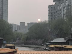 -皇家御河游(紫御湾码头)